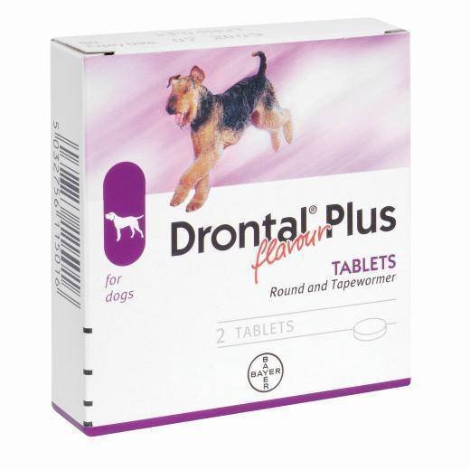 Drontal Plus Deworming Tablet for Dogs