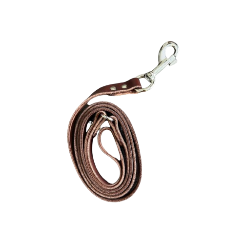 Pure Leather Leash for Dogs