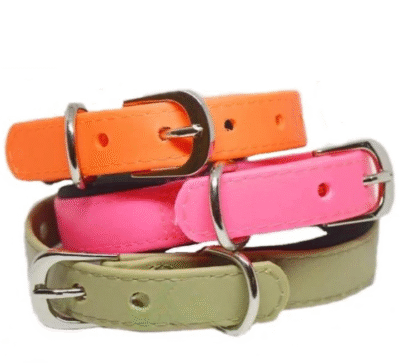 Dog Collar Small