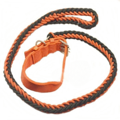 Nylon Dog Collar And Leash Set