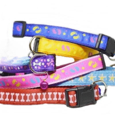 Multi Color Collars For Dogs - Bone & Paw Print