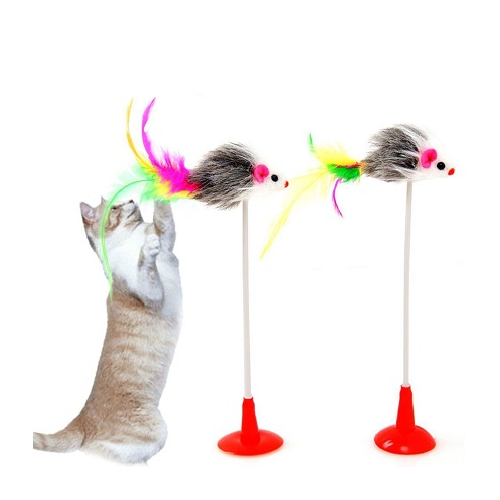 Cat Spring Toy