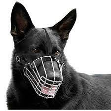 Leather Dog Muzzle For Large Dogs